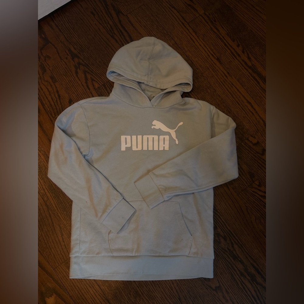 Puma Men's Gray Hoodie Sweater